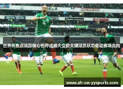 世界杯焦点追踪核心伤停成最大变数关键球员状态牵动赛场走向
